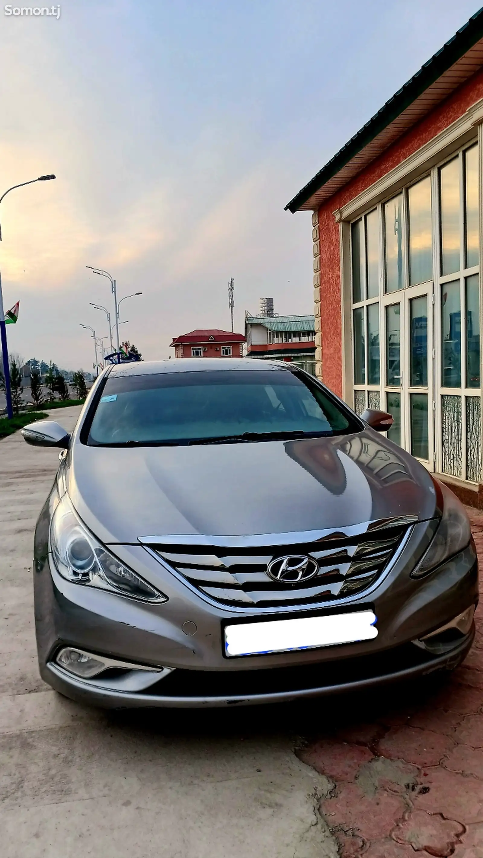 Hyundai Sonata, 2010-1