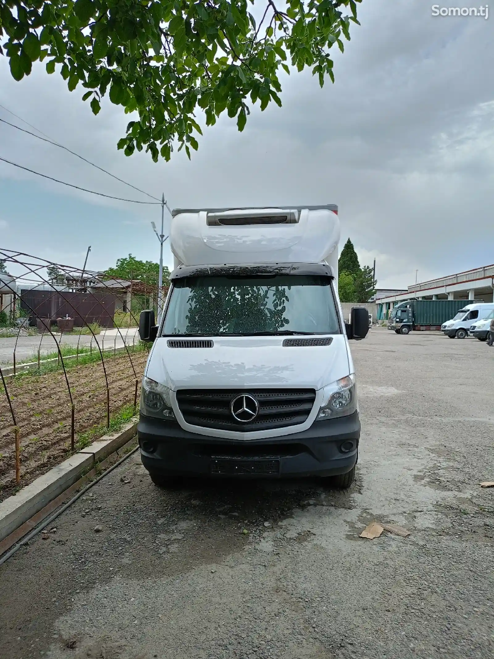 Фургон-рефрижератор Mercedes-Benz, 2014-1
