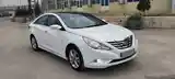 Hyundai Sonata, 2010-4