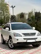 Lexus RX series, 2009-2