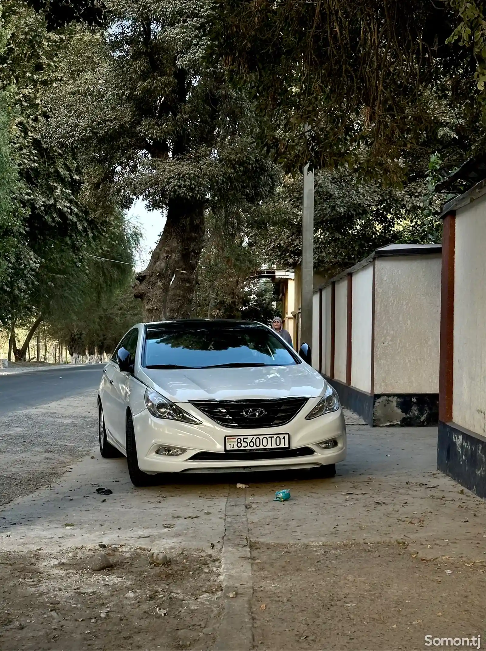 Hyundai Sonata, 2010-13