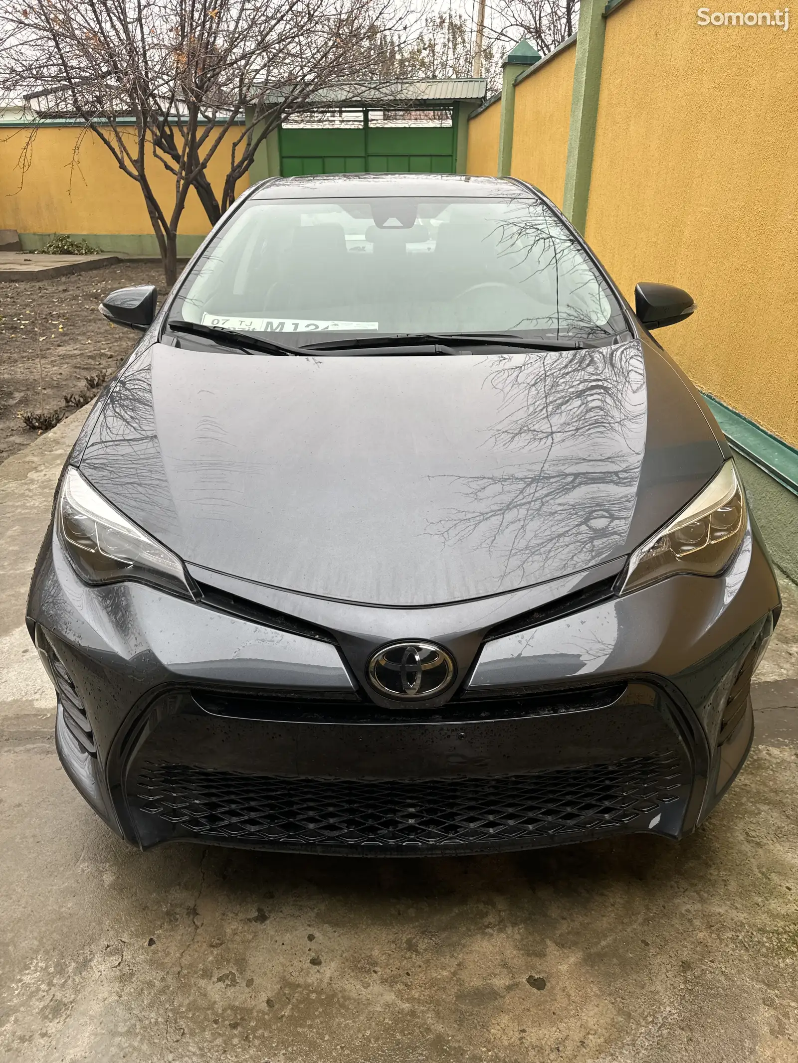 Toyota Corolla, 2019-1