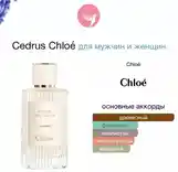 Аромат Cedrus Chloé-2