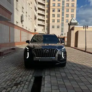 Hyundai Palisade, 2020