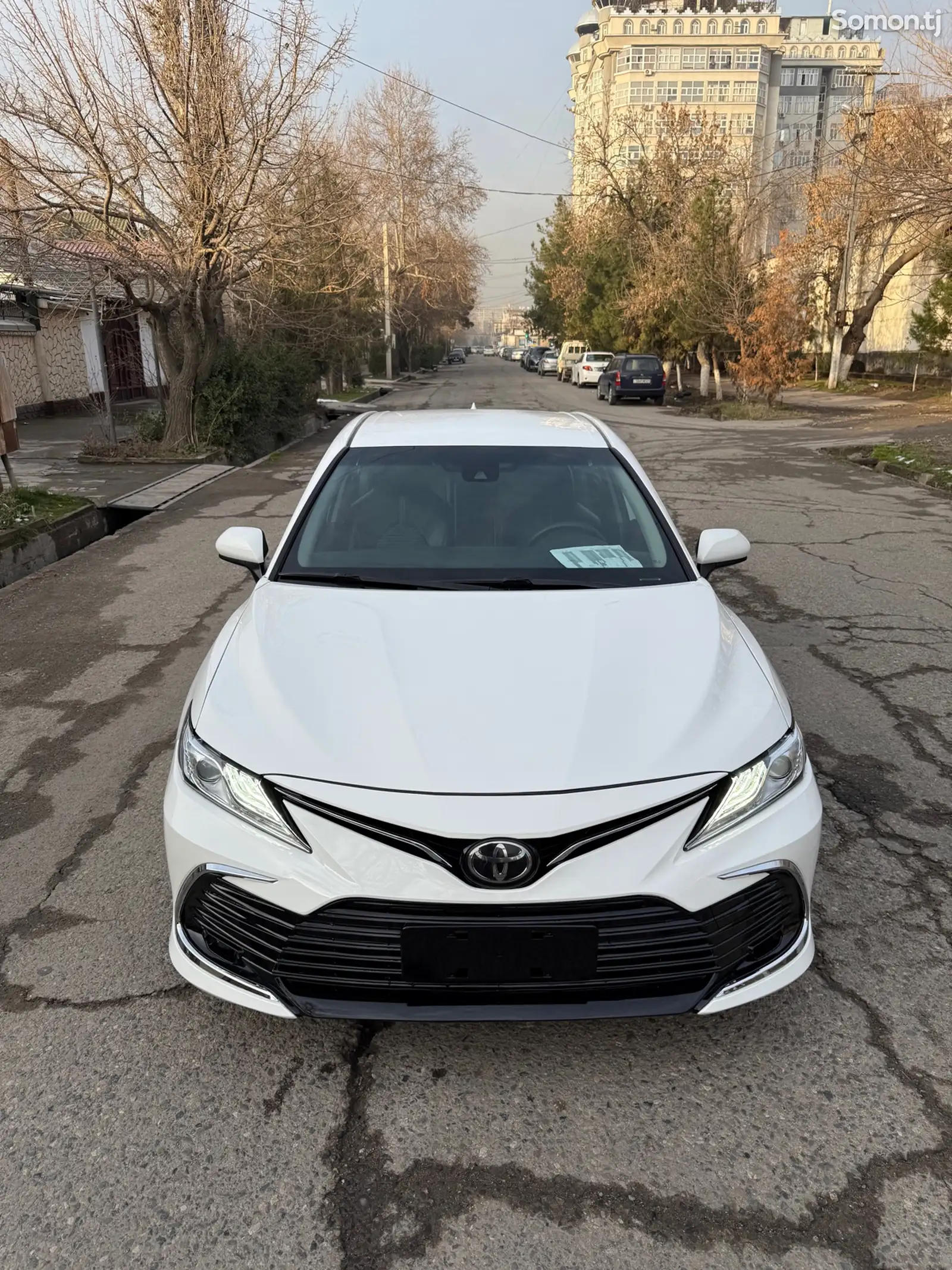 Toyota Camry, 2019-1