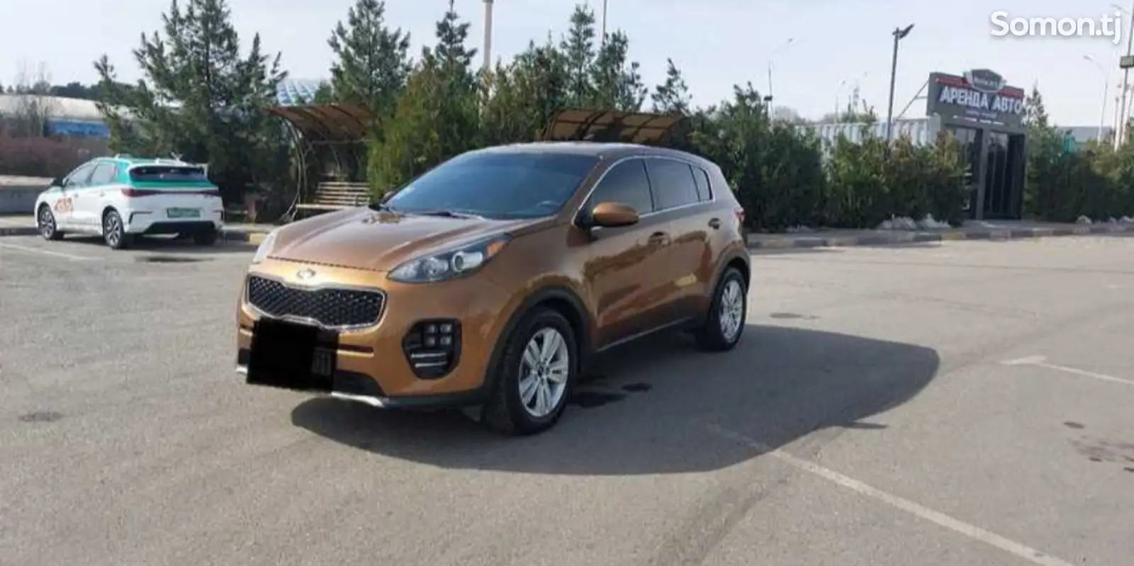 Kia Sportage, 2019-1