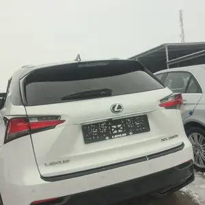 Lexus NX series, 2018