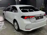 Toyota Corolla, 2023-4