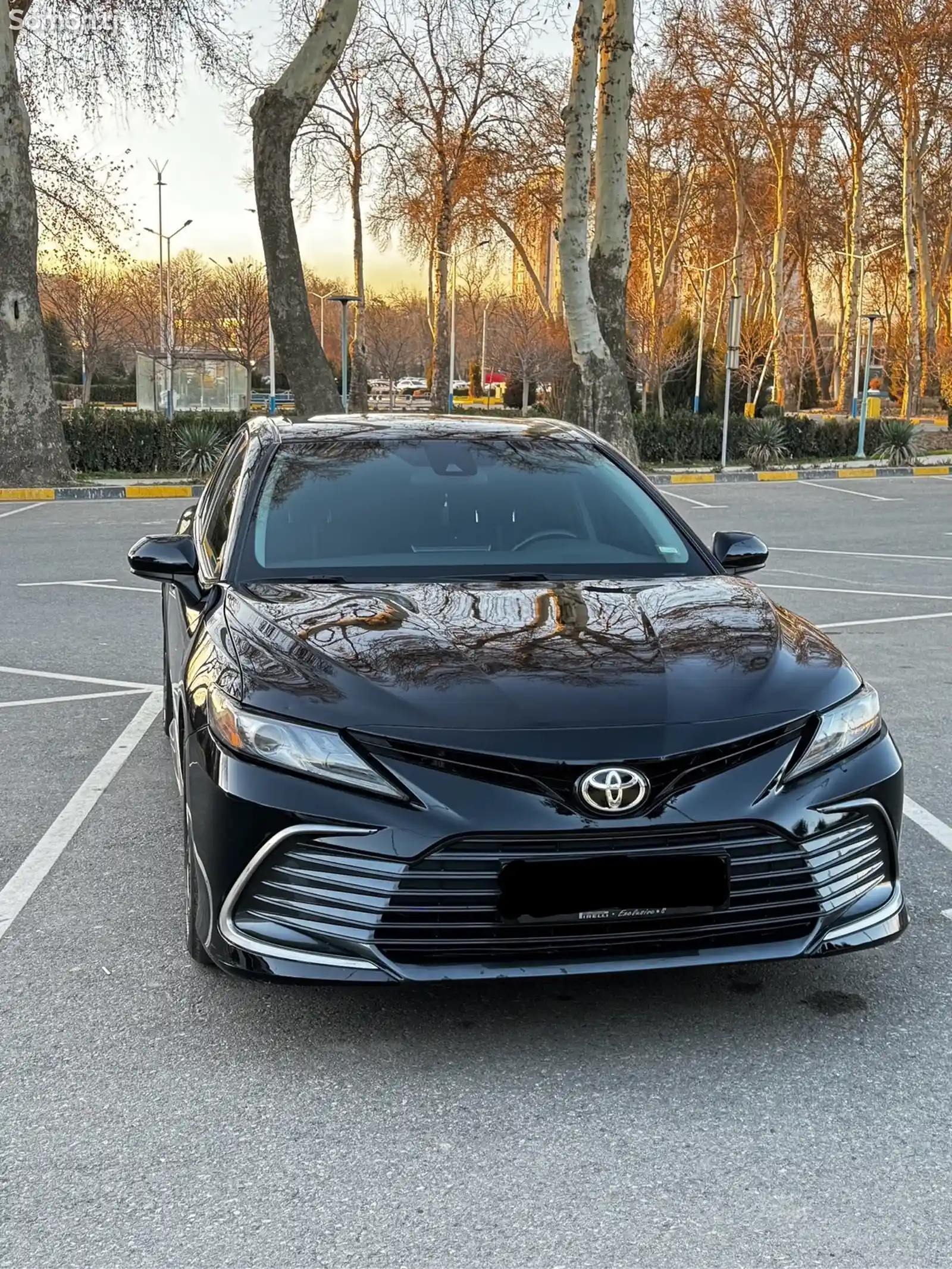 Toyota Camry, 2021-3