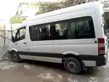 Микроавтобус Mercedes Benz Sprinter-4