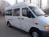 Пассажирский Mercedes-Benz Sprinter, 1998-4