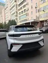 Chery eQ, 2024-2