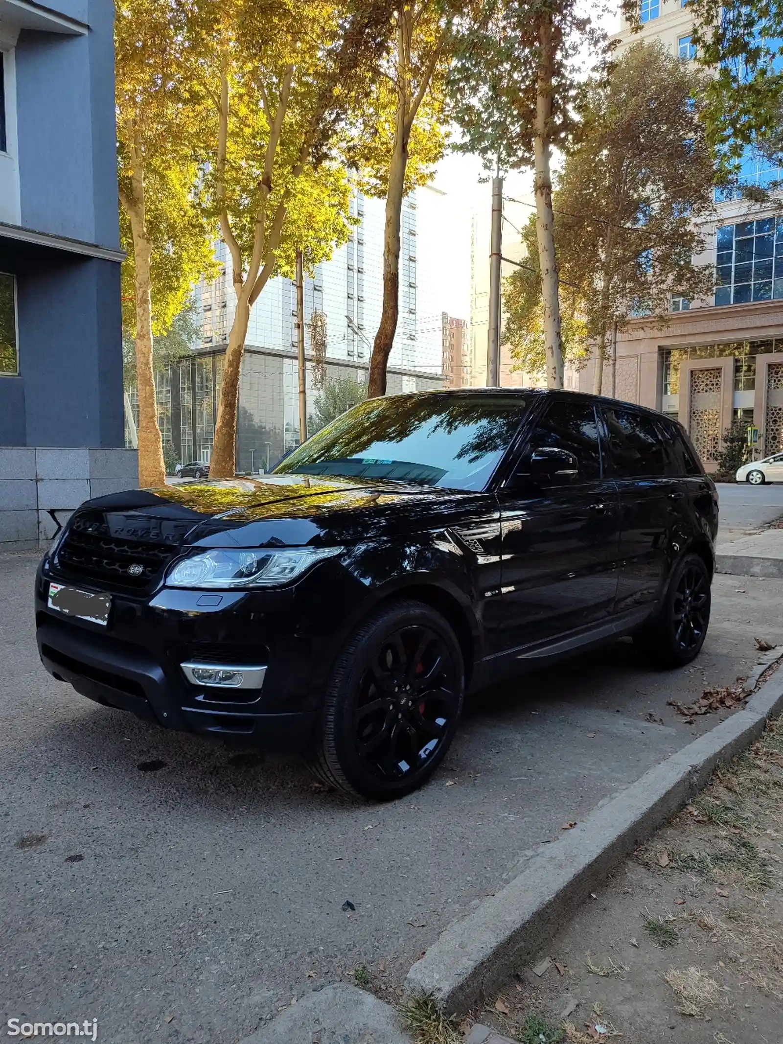 Land Rover Range Rover Sport, 2015-1