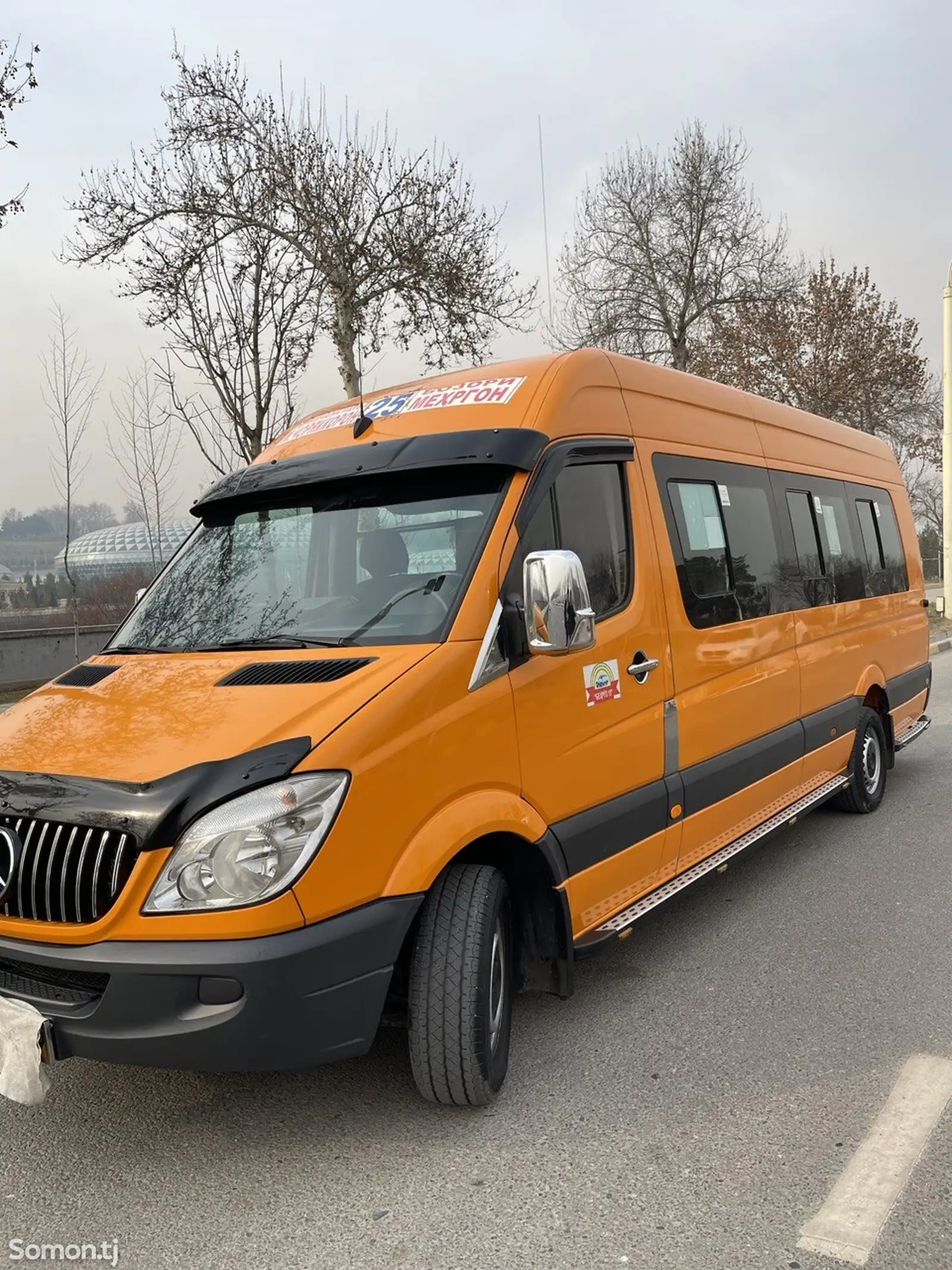 Микроавтобус Mercedes-Benz Sprinter, 2007-1