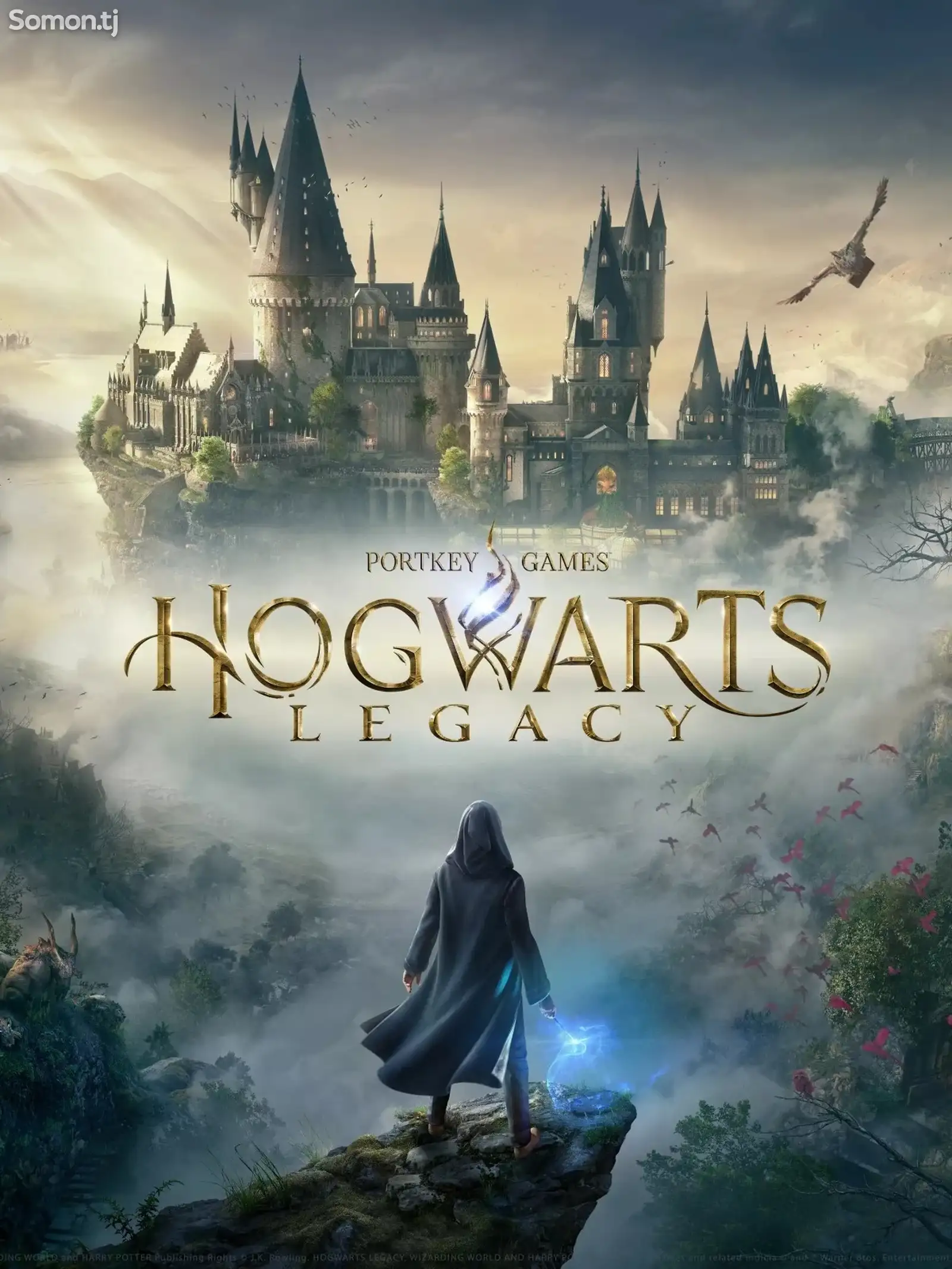 Игра Hogwarts legacy-1