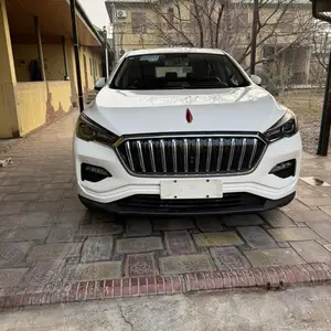 Hongqi E-HS3, 2019