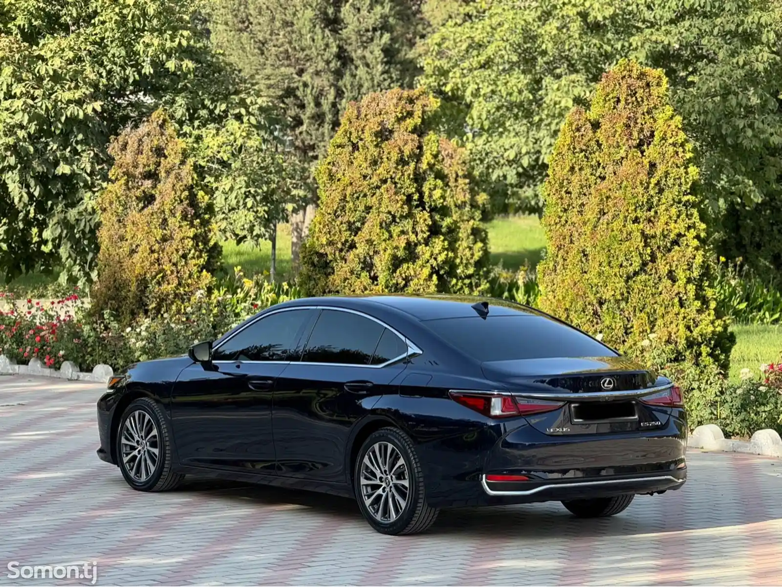 Lexus ES series, 2019-4