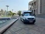 Услуги пассажирских перевозок на Mercedes-Benz Sprinter-11