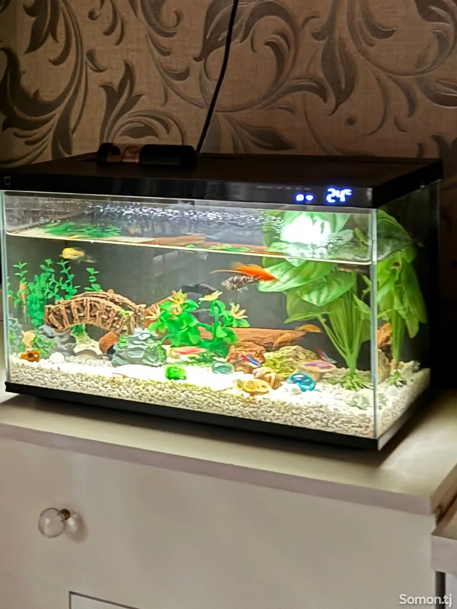 Умный аквариум Mijia Smart Fish Tank MYG100 30 Литр-1
