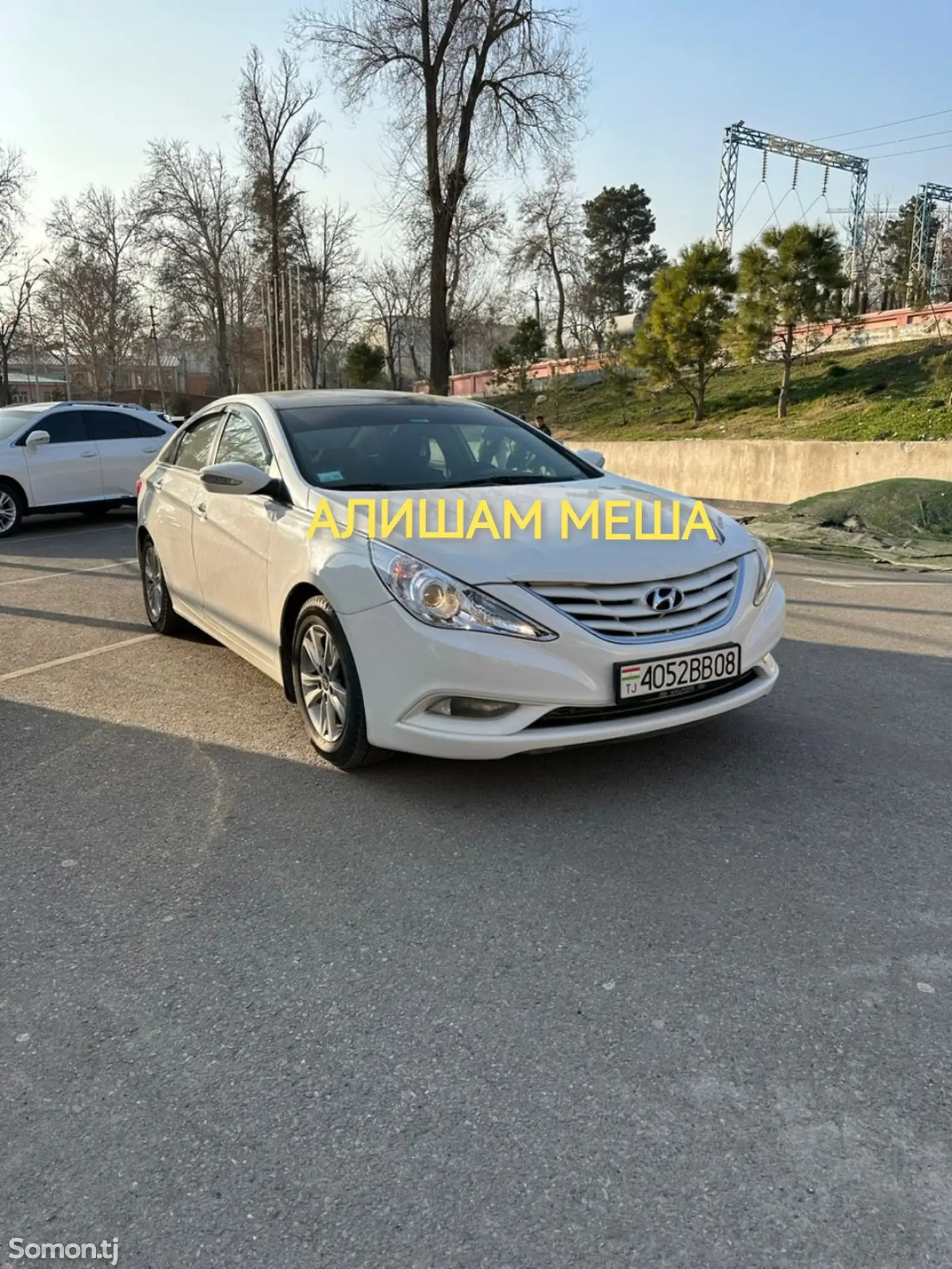 Hyundai Sonata, 2011-1