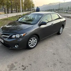 Toyota Corolla, 2010