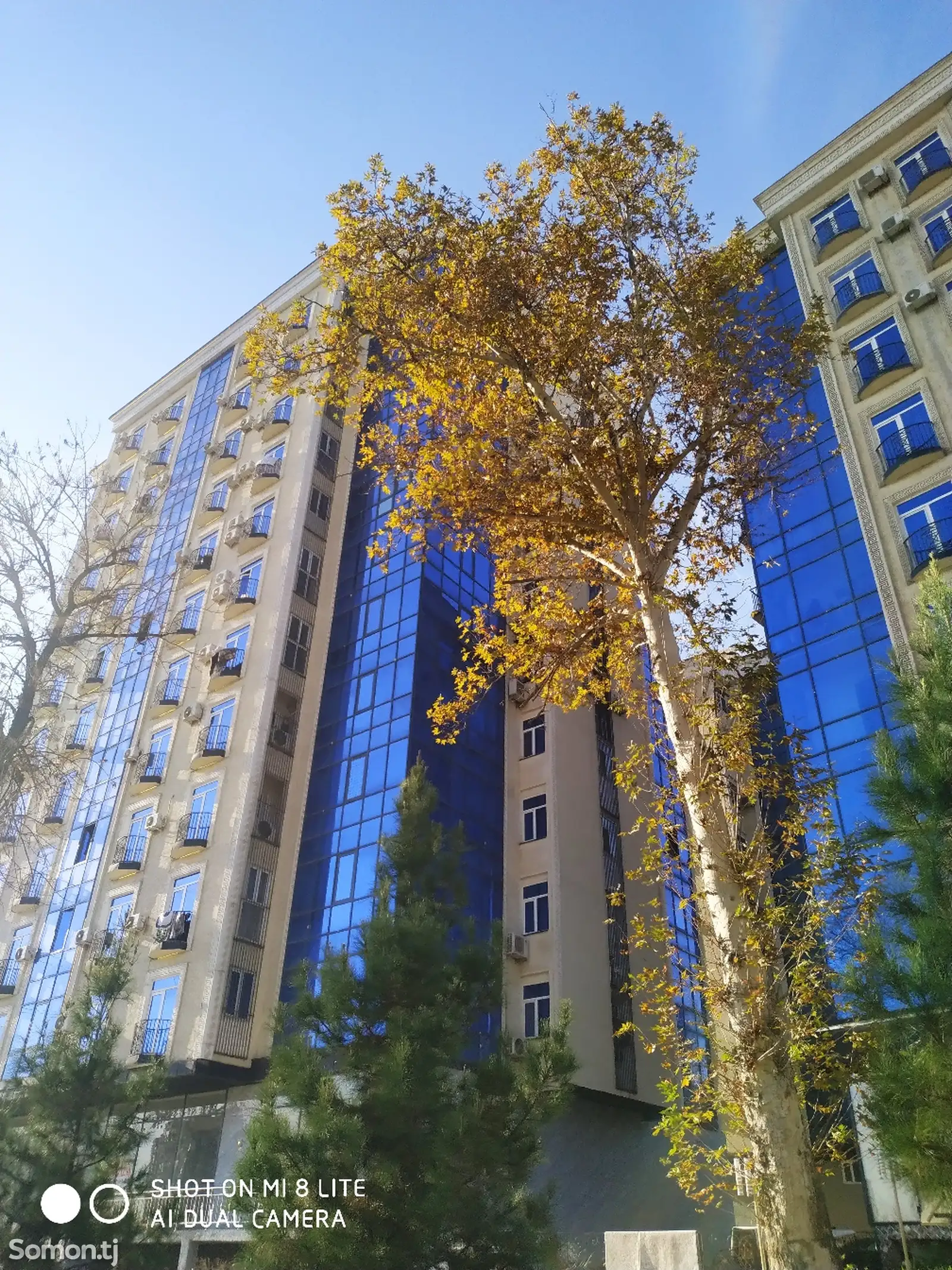 4-комн. квартира, 12 этаж, 118 м², Сино-1