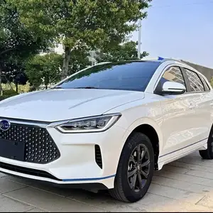 BYD E2, 2020