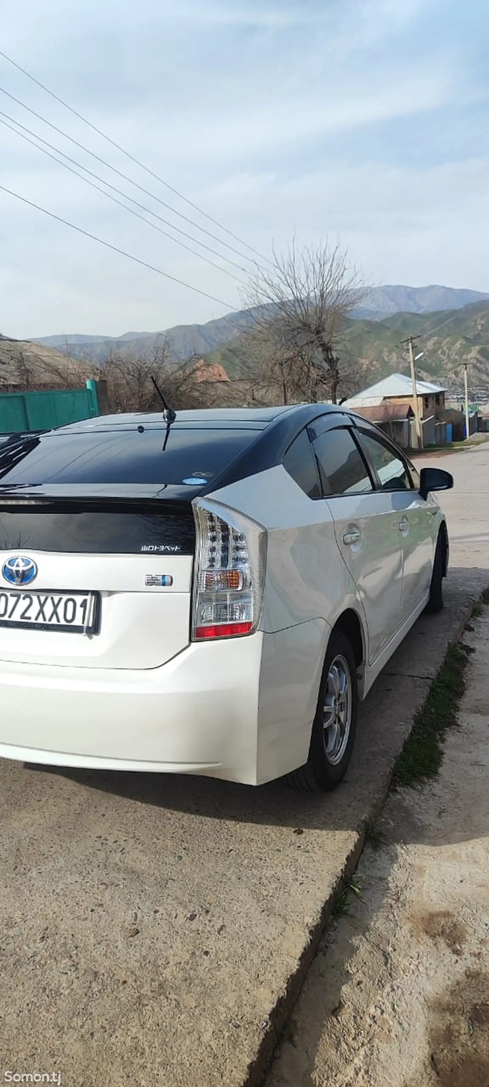 Toyota Prius, 2010-1