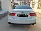 Toyota Camry, 2019-8