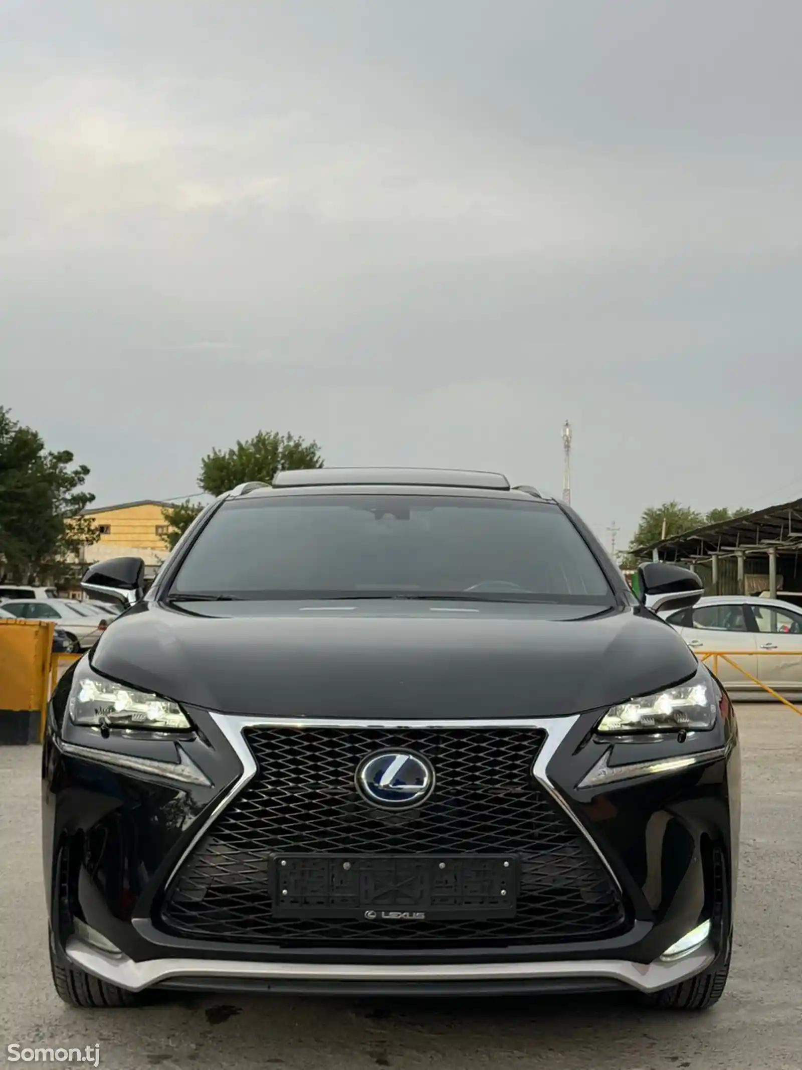 Lexus NX series, 2019-15