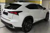 Lexus NX series, 2021-6