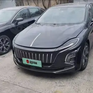 Hongqi E-QM5, 2024