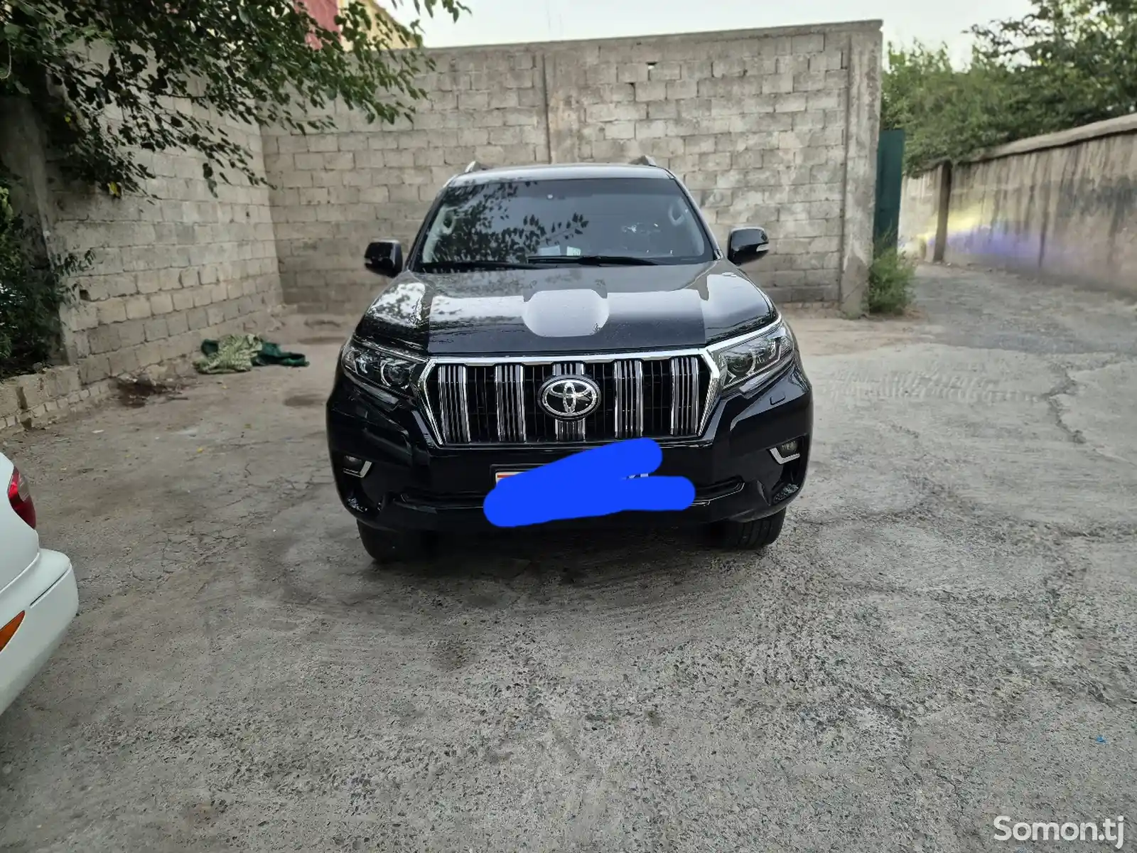 Toyota Land Cruiser Prado, 2011-1