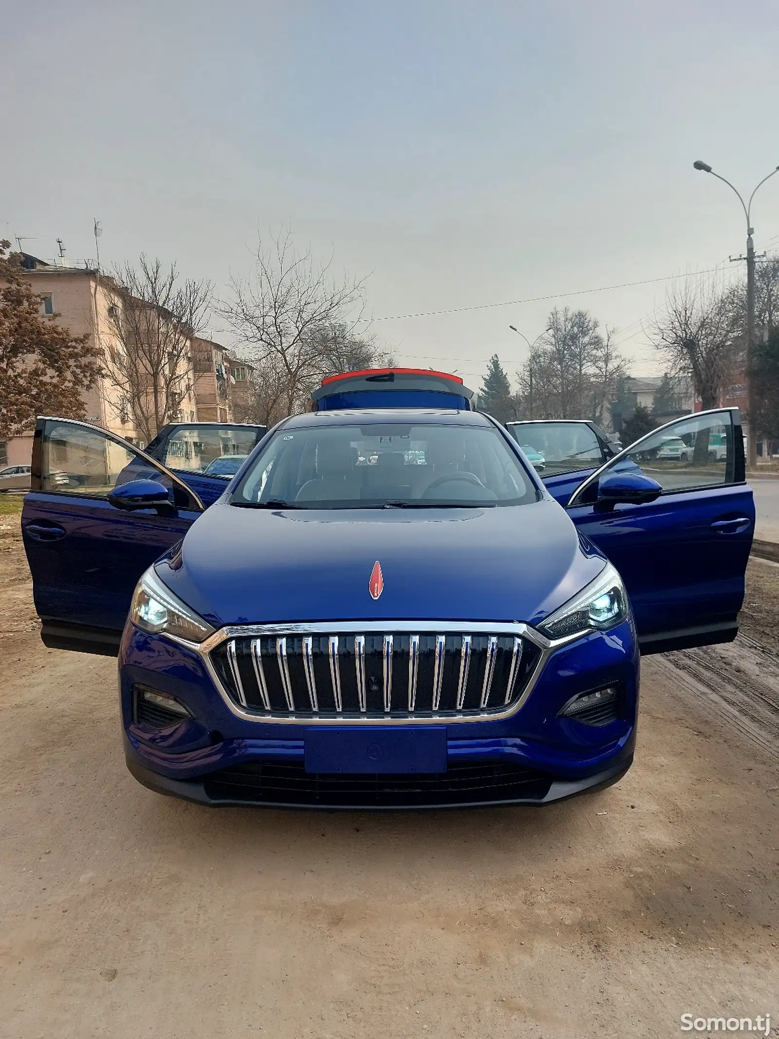 Hongqi E-HS3, 2019-1