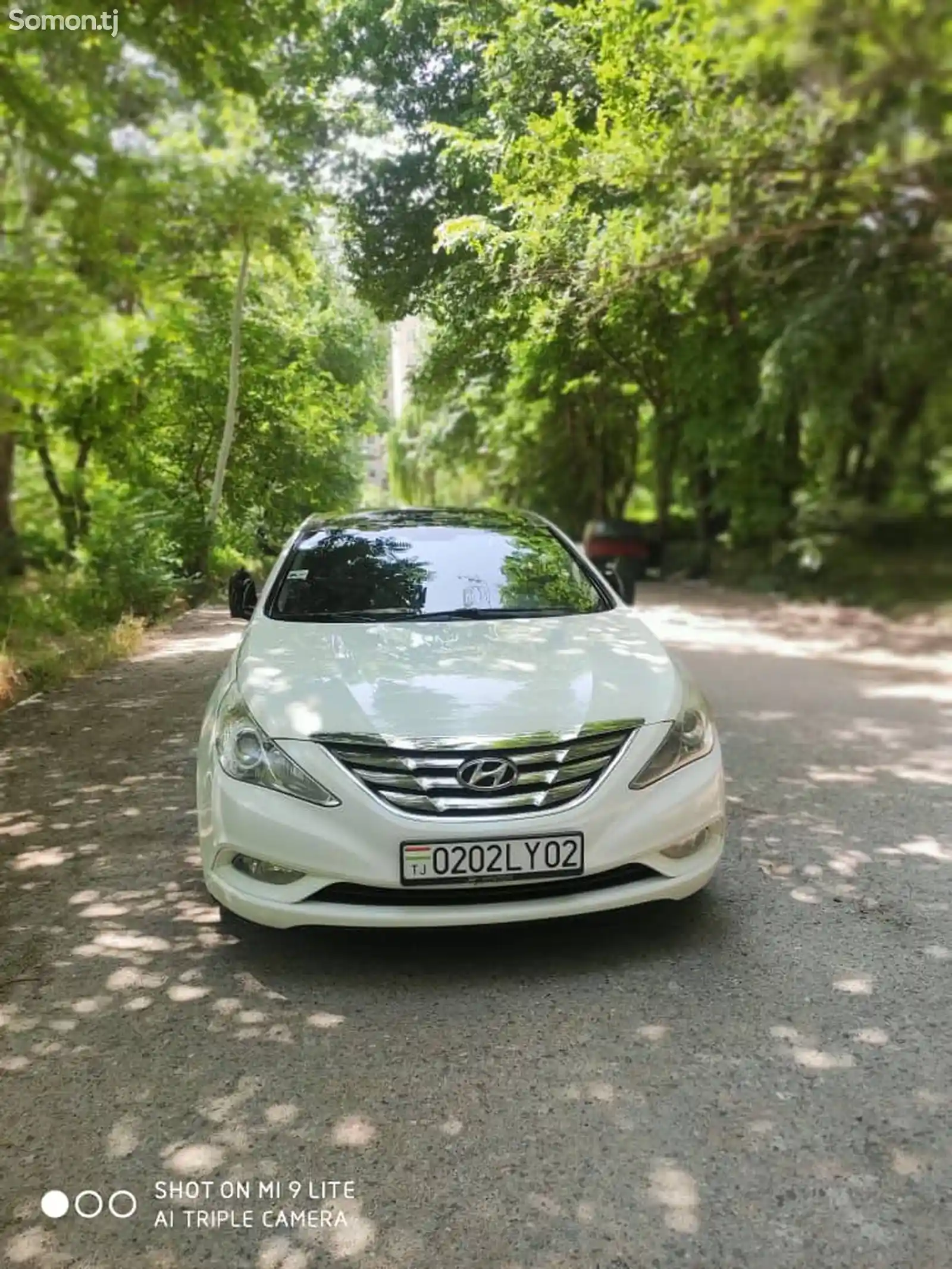 Hyundai Sonata, 2010-7