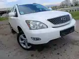 Lexus RX series, 2007-3