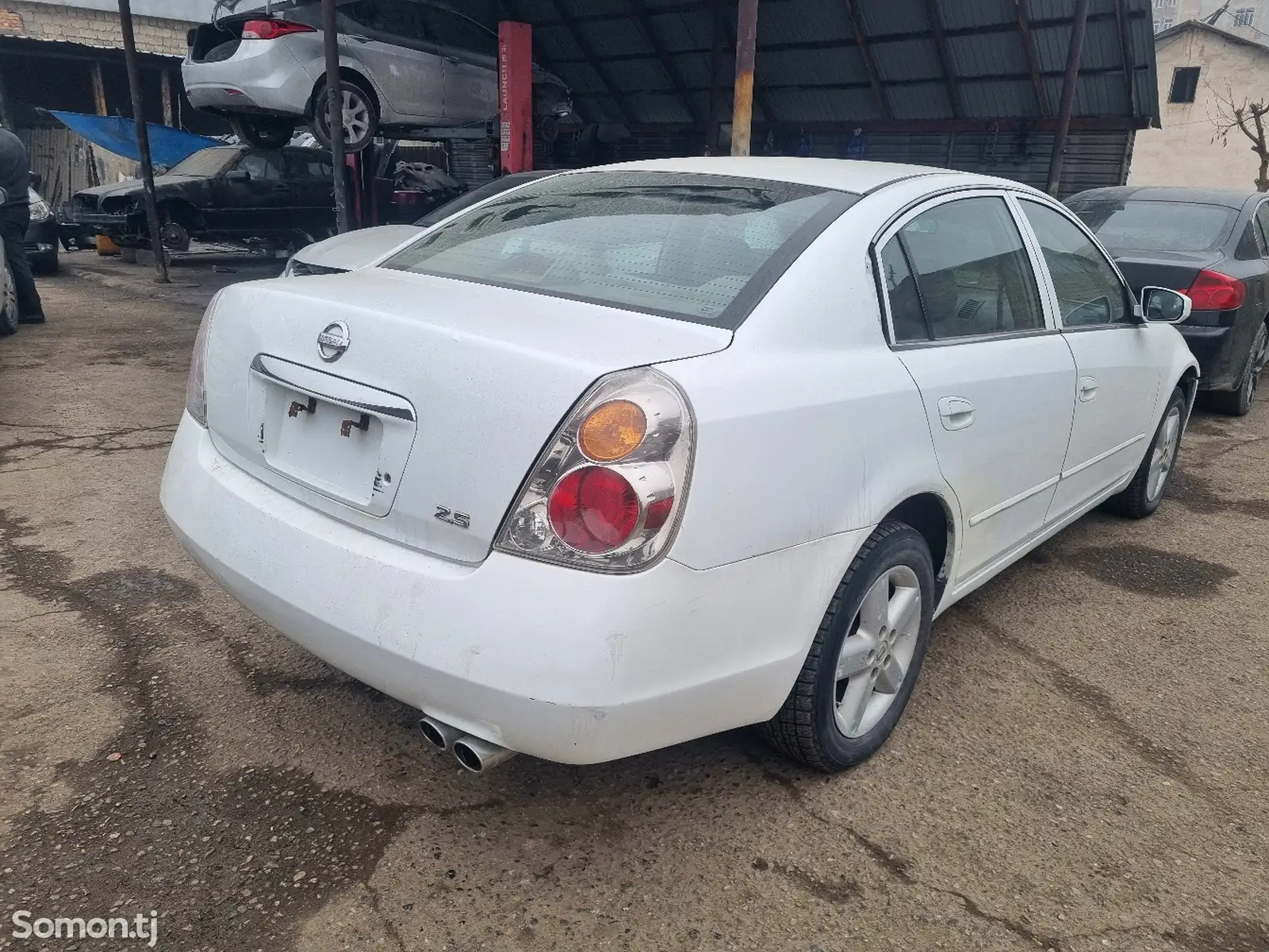 Nissan Altima, 2004-1