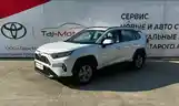 Toyota RAV 4, 2023-6