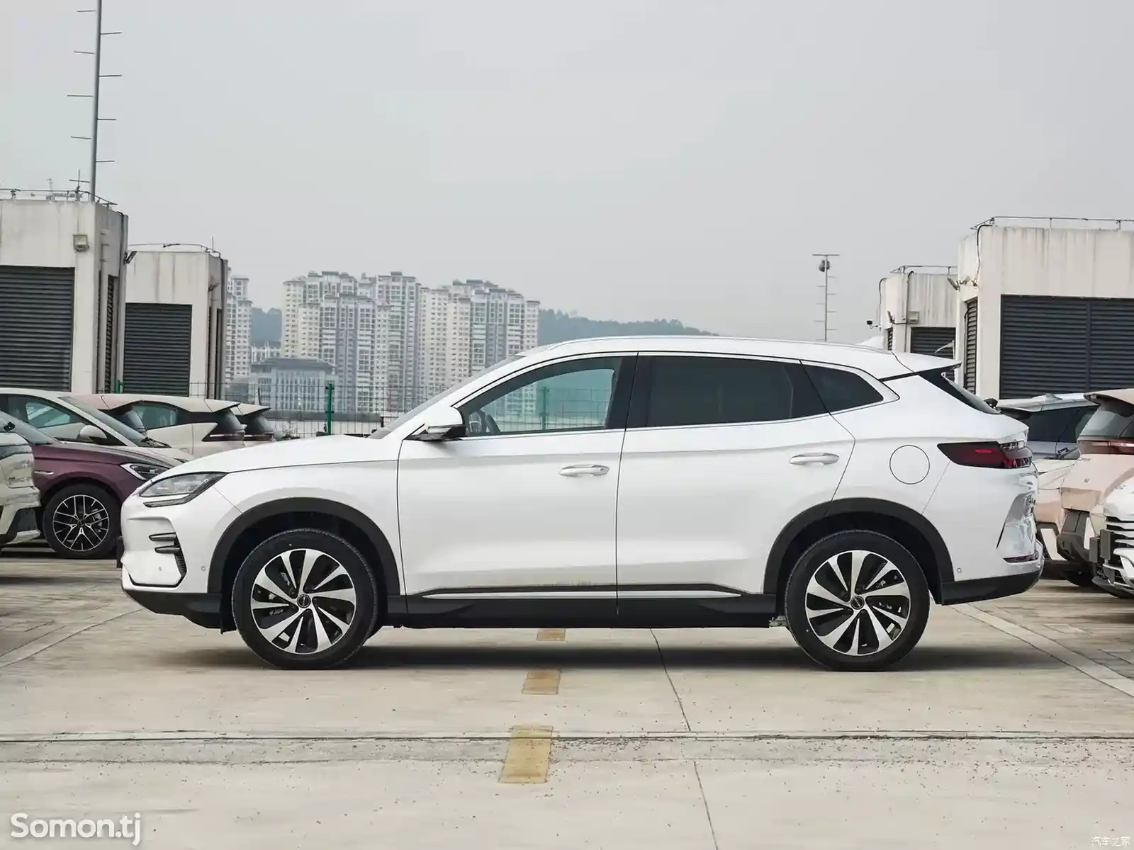 BYD Song Plus, 2024-5