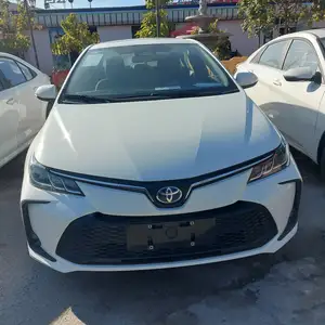 Toyota Corolla, 2024