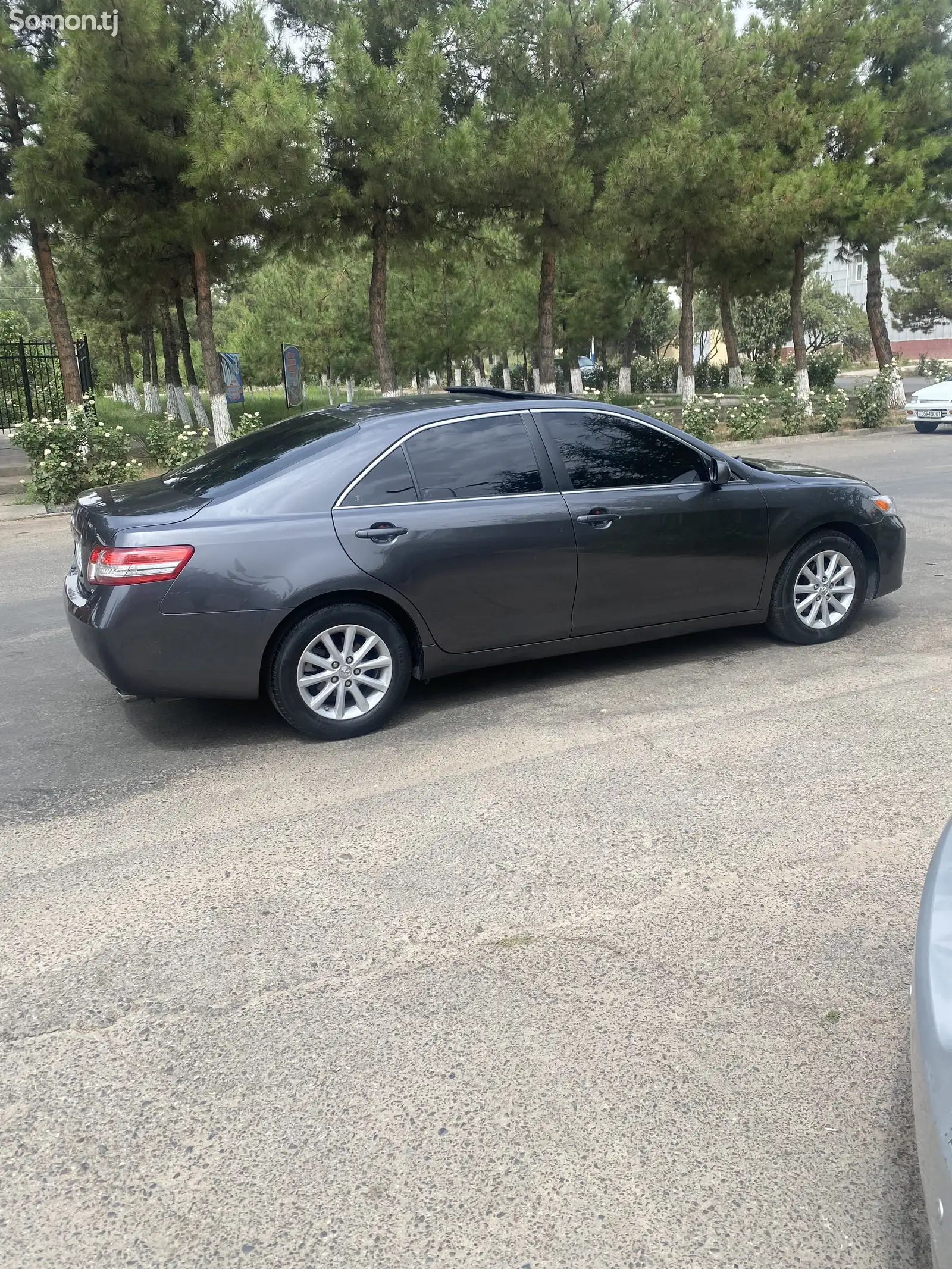 Toyota Camry, 2010-1