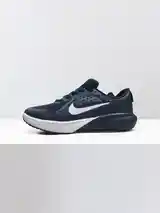 Кроссовки Nike Runing sonic fly-2