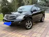 Lexus RX series, 2007-3