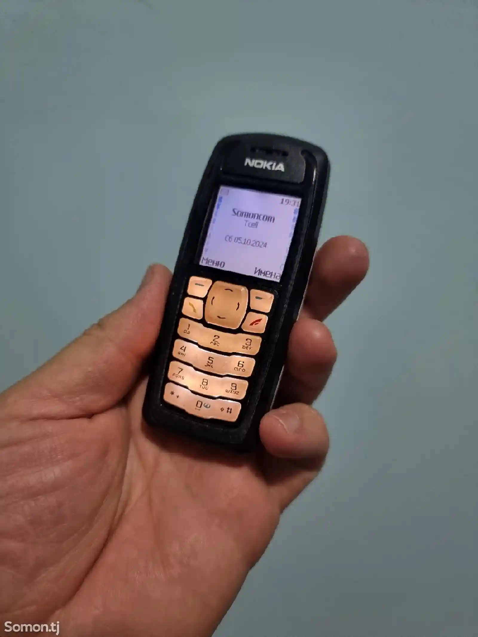 Nokia 3100-1