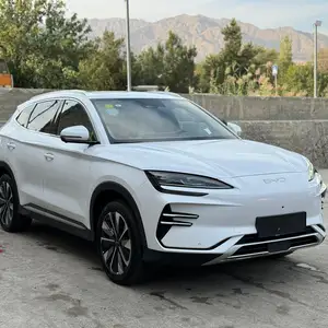 BYD Song, 2024