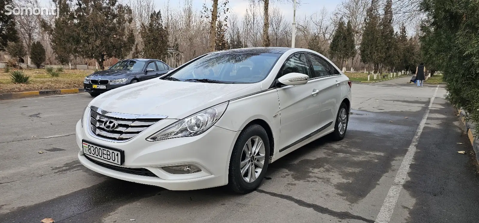 Hyundai Sonata, 2010-1