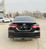 Toyota Camry, 2019-7