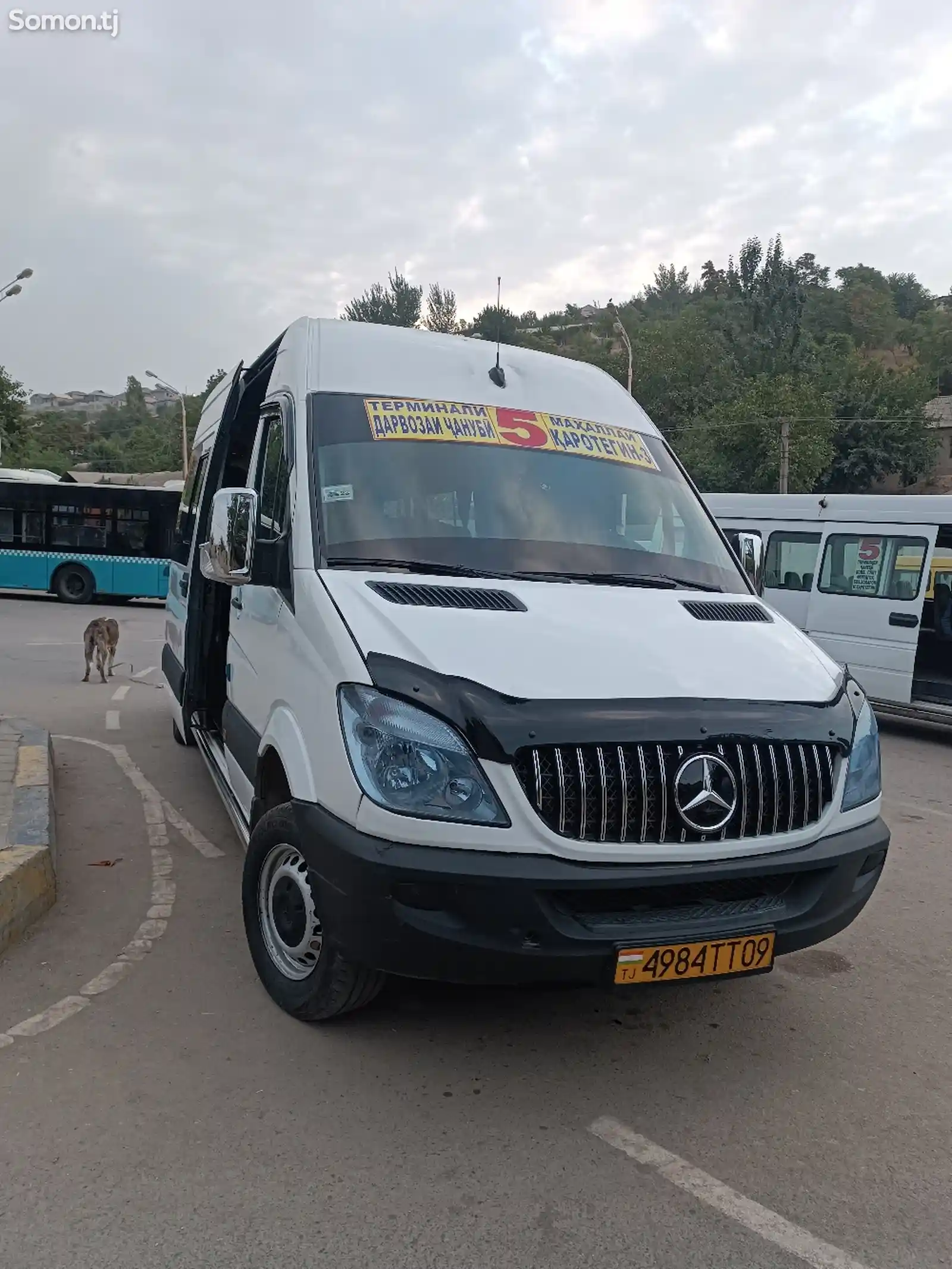 Микроавтобус Mercedes Benz Sprinter 2009-1