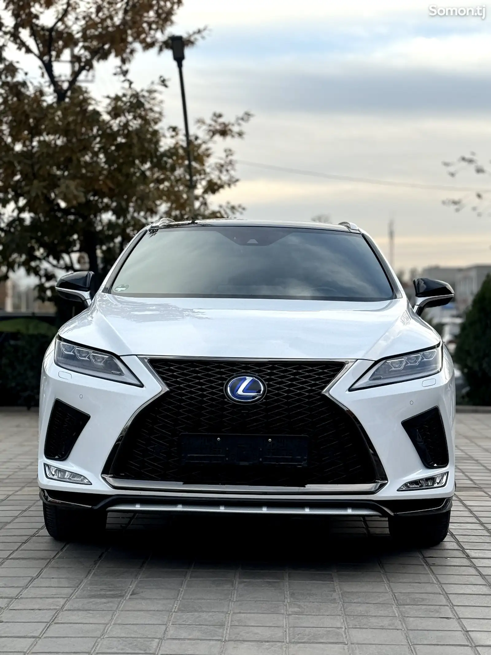 Lexus RX series, 2022-1