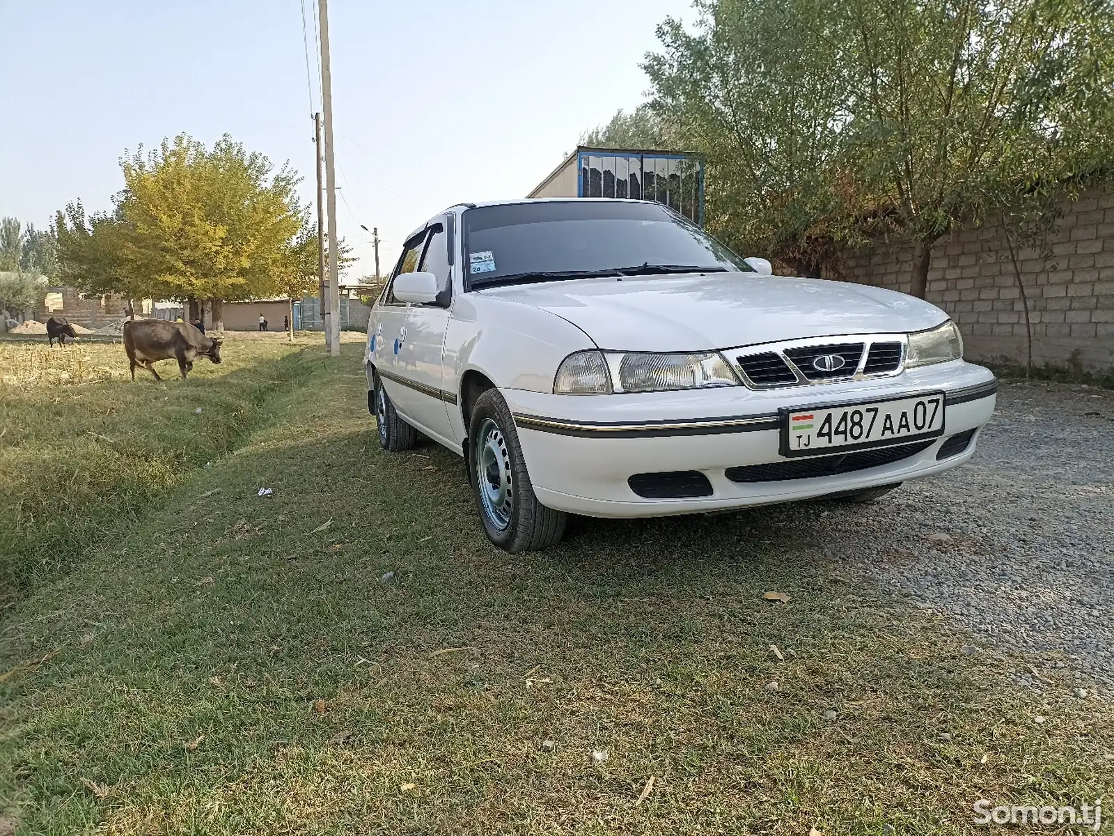 Daewoo Nexia, 1996-4